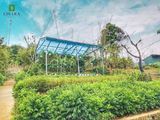 Ohara Farmstay – Mô Hình Đầu Tư Tiềm Năng, Lợi Nhuận Kép Hấp Dẫn