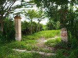 Đáo Hạn Ngân Hàng Cần Bán Gấp 275M2 Đất Đường Tam Thôn Hiệp, Cần Giờ Giá 4 Tỷ