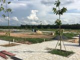 Bán Đất Giá Rẻ 750Tr/nền,sổ Hồng Riêng,mặt Tiền Đường Phùng Hưng,long Đức,long Thành Đồng Nai