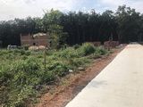 Cần Tiền Trả Nợ Ra Nhanh 1000M2 - Giá 575Tr - Ngay Kcn - Sổ Hồng Riêng - Lh 0903161601