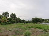 Bán Đất Giá Rẻ