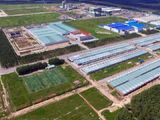 Bán Đất Chơn Thành-Bình Phước 550Tr/500M2