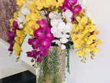 Bán Nhà 4 Tầng Kiệt 2 Ototo Tránh Nhau Nguyễn Tri Phương Vs Lê Đình Lý Vi Trí Quá Đệp