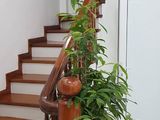 Nhà Đẹp Chất Xịn Giá Rẻ Quận Hai Bà Trưng Giá Bán Chỉ 7.2 Tỉ