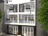 Nhà Phố Đường Huỳnh Tấn Phát, Quận 7
