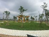 Đất Nền Bàu Bàng Giá Rẻ Bất Ngờ