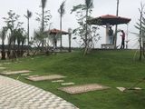 Đất Nền Bàu Bàng Giá Rẻ Bất Ngờ