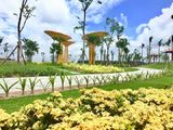 Đất Trung Tâm Bầu Bàng,giá 630 Triệu/nền 90M2, Shr