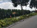 Bán Gấp Lô Đất Mặt Tiền Có Sổ Hồng Riêng Gần Chợ