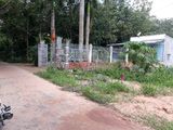 Bán Đất Nền Tại Xã Thành Tâm, Huyện Chơn Thành, Tỉnh Bình Phước.