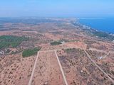 Bán Đất Trồng Cây Ở Thiện Trung Xa Thiện Nghiệp, Tp. Phan Thiết Với Giá 950/m2