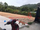 Đất Phân Lô Đẹp Phước Đồng, Nha Trang