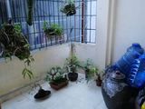 Bán Gấp Nhà 2,5 Tầng Giá Rẻ Thuộc Ngõ Trần Hưng Đạp Tp Thái Bình