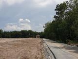 Cần Bán Đất 200M Có 100M Thổ Cư Giá 350 Triệu