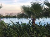 Bán Nhanh Căn Hộ Sunrise Nort X1 Lầu 12 77M2 Giá 4,2 Tỷ Full Thuê 900$