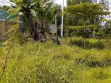 Bán Đất Chợ Bà Hom Sổ Hồng Riêng Giá Chỉ 1 Tỷ 6