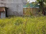 Bán Đất Chợ Bà Hom Sổ Hồng Riêng Giá Chỉ 1 Tỷ 6