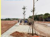 Dự Án Thi Phổ Center Ql1A, Cơ Hội Đầu Tư Hấp Dẫn Với Giá Chỉ 4 Tr/m2