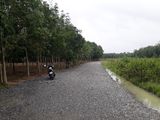 Bán Lô Đất Mặt Tiền Chánh Phú Hòa , Bến Cát . Lh : O906.380.307