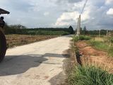 Bán Đất Giá Rẻ 750Tr/nền,sổ Hồng Riêng,mặt Tiền Đường Phùng Hưng,long Đức,long Thành Đồng Nai