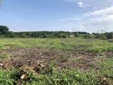 Cơn Sốt Đầu Tư Đất Sân Bay Qt Long Thành