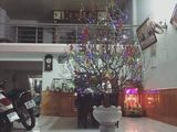 Bán Nhà Cấp 4 Gác Đúc, 109 Phạm Như Xương Kiệt Ottoo Vô Tận Nơi Cách Đường Chính 50m