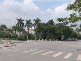 Bán Gấp Lô Đất Mặt Đường 7M Ngõ 333 Ngô Xuân Quảng Trâu Qùy Gia Lâm