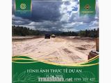 Nhanh Tay Đặt Giữ Chỗ Ngay – Dự Án Đất Nền Ven Biển Green Complex City -