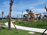 Cần bán Đất Nền Giá Rẻ