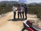 Cơ Hội Vàng Hôm Nay Để Sỡ Hữu Lô Đất Vàng Trong Tương Lai Chỉ Với 50Tr (Kdc Mỹ Tường)