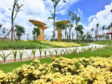 Đất Nền Giá Rẻ Tại Bình Dương