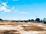 Ninh Thuận Cơ Hội Cho Những Ai Biết Nắm Bắt