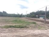 Đất Khu Dân Cư Đại Nam Chỉ 540Tr Đã Có Thổ Cư Và Sổ Hồng Riêng