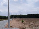 Chính Chủ Cần Bán Đất Vườn Diện Tích 30M*35M Giá Rẽ