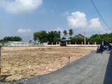 100% Đất Thổ Cư 5 X 40M . Đất Tại Củ Chi Giá Rẻ 200M2 . Giá 2 Tỷ