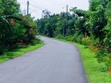 Đất Vườn Sinh Thái Trung Thành Nam Garden