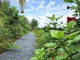 Đất Vườn Sinh Thái Trung Thành Nam Garden
