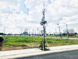 Chính Chủ Bình Chánh - Đất Ngay Mặt Tiền Đường Bờ Nhà Thờ Ngay Chợ