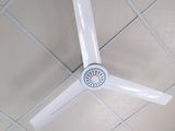 Cho Thuê Nhà Nguyên Căn, Nhà Rất Đẹp Và Có Nội Thất, 6Tr/tháng.