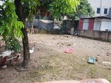 Bán 2 Mảnh Đất Tại Thôn Trung Dương-Kiêu Kỵ-Gia Lâm. Thích Hợp Để Đầu Tư Phân Lô
