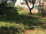 Đất Thổ Cư Diện tích Gần 300M2 Đẹp Không Tì Vết Giá Thấp Hơn Thị Trường. Hãy Đầu Tư Sinh Lời.