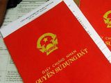 Bán Đất Thụy Hà Bắc Hồng Đông Anh Hà Nội