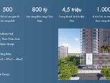Nhận Đặt Mua Căn Hộ Khách Sạn Tại Apec Mandala Wyndham Huế.