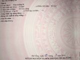 Bán Nhà Cấp 4 Gác Đúc Kiệt 282 Hà Huy Tập Kiệt 2M Cách Đường Chính 30M Vi Trí Quá Đệp