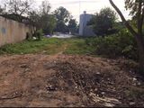 Bán Lô Đất Diện Tích 891M2! Mặt Tiền Trần Văn Trà Xã Phú Đông! Gía Cực Rẻ!