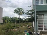 Bán Gấp Lô Đất Bình Chánh, diện tích 5 x 20 m2