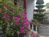 Bán Miếng Đất Có Nhà Ở