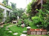 Cho Thuê Nguyên Căn Làng Báo Chí Thảo Điền, Kinh Doanh Shop, Spa, Văn Phòng, 11X10, Trệt 3 Lầu 45Tr