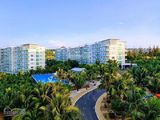 Căn Hộ Cho Khách Du Lịch Thuê Ocean Vista Phan Thiết - Lợi Nhuận Cam Kết Tối Thiểu 288Tr/năm