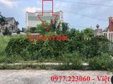 Bán Lô L10 Đồi Văn Nghệ,ngõ 14 Nguyễn Văn Cừ. Vị Trí Đẹp View Vịnh !!!